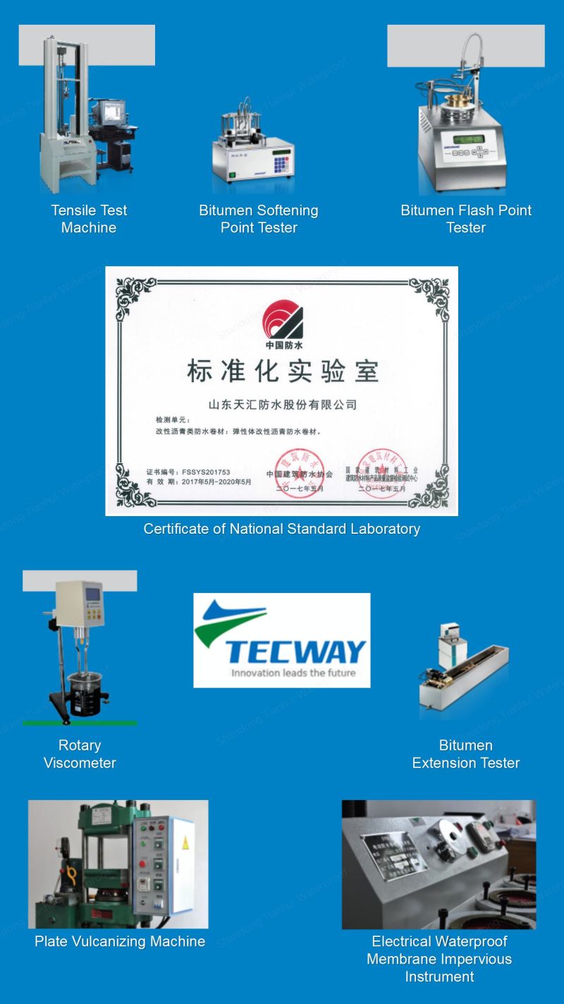 Tecway 4.0mm Torch Applied APP Plastomer Modified Bituminous Waterproof Membrane/Waterproofing Construction Material