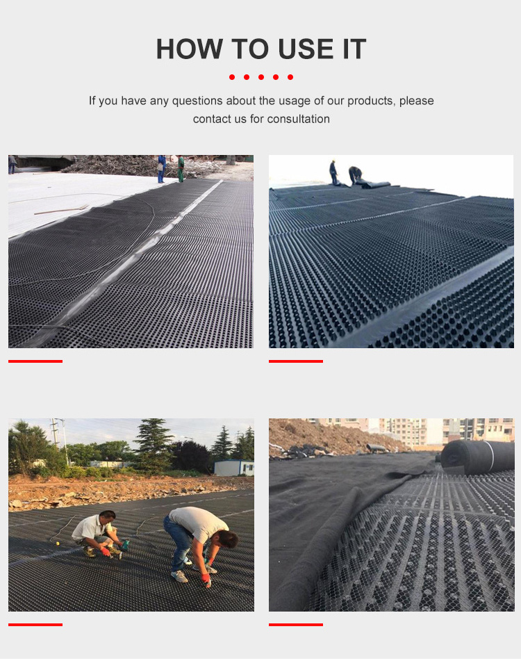 Dimple Drainage Board Construction Materials HDPE Drainage Board Waterproofing