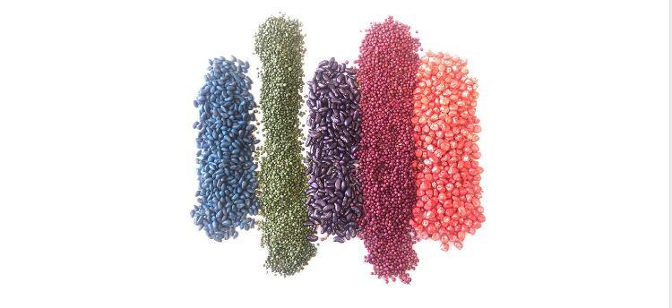 Sparkle Shining Pearl Luster Seeds Pearl Pigment for Seed Dressing