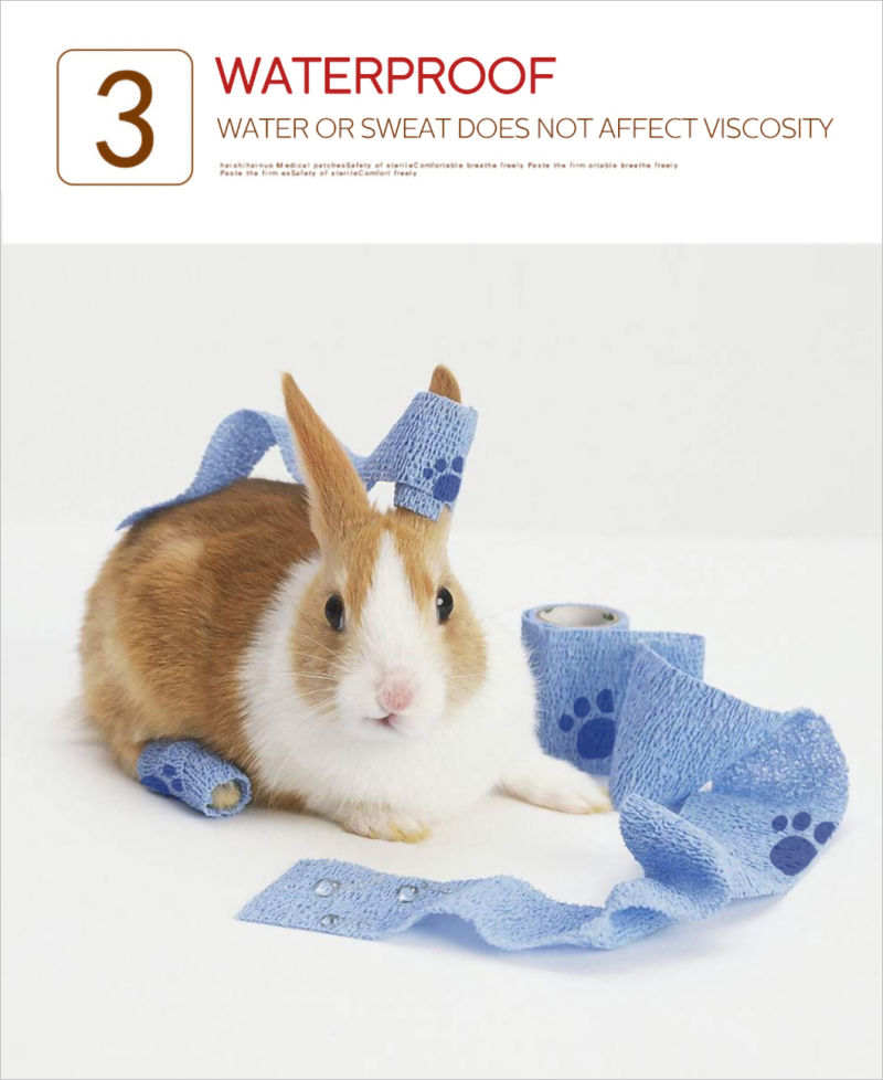 FDA Approved Veterinary Waterproof Elastic Medical Cohesive Elastic Bandage