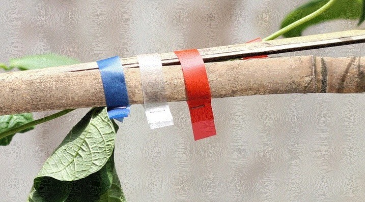Tree Tie Tape PE Tying Tape Agriculture Tape