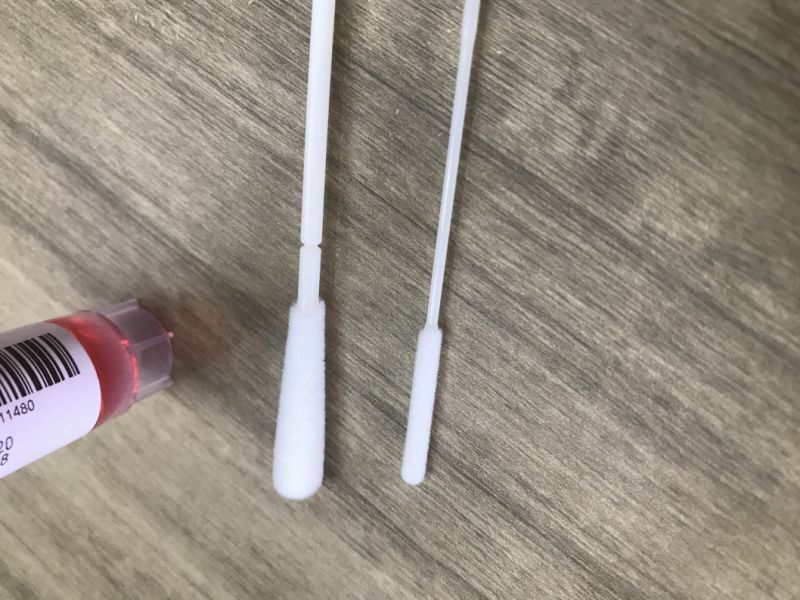 Sterile Swab Stick Sterile Transport Medium Swab Sample Specimen Collection Swab CE FDA in 2021