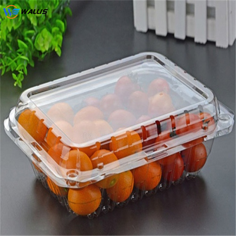 Vacuum Forming Clear Pet Plastic Sheet for Food Blistering Box Blister Packing