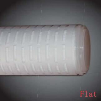 20 Inch Nylon66 Membrane Micron Pleated Cartridge Filter for Sterile Apis