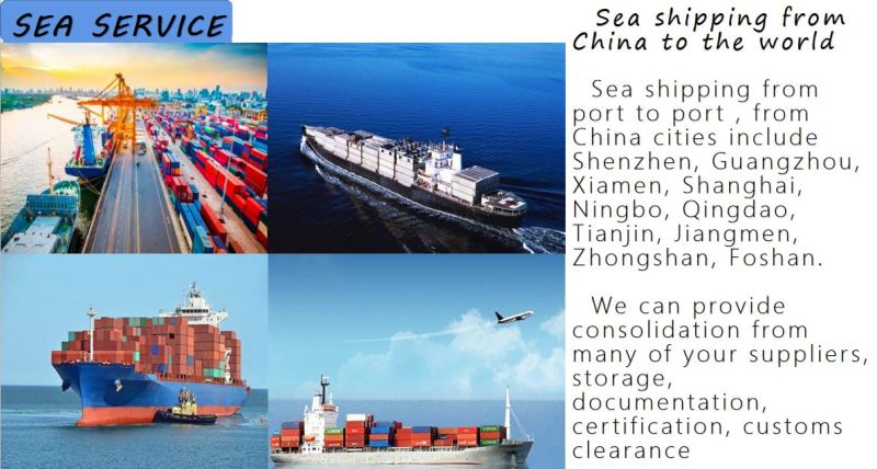 Freight Forwarder LCL Sea Shipping Agent From China to Israel