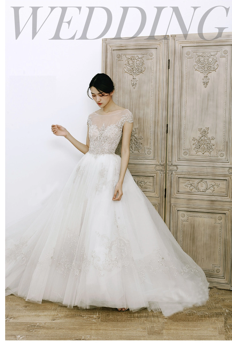 Supplier of Kinds of Fashion Dress, Wedding Dress, Evening Dress, Back Less Tailing Bridal Dress