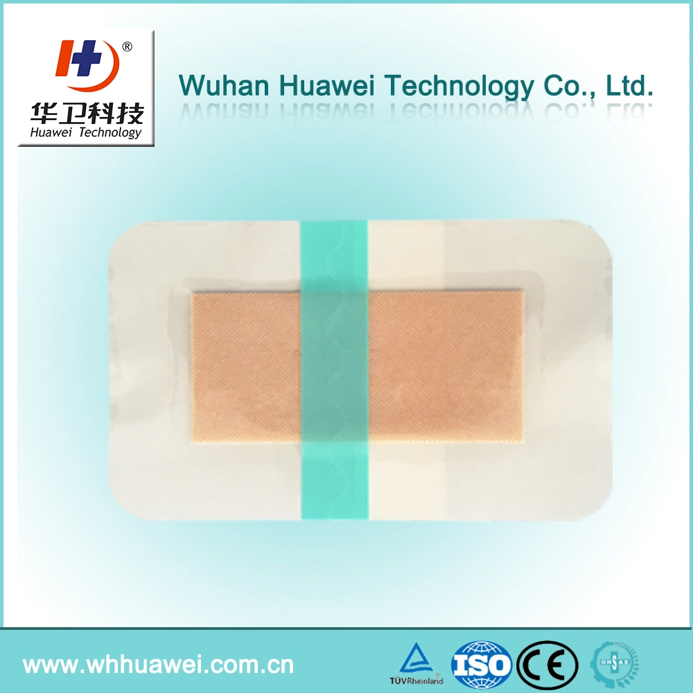 Natural Chitin Chitosan Biotech Advanced Wound Dressing Plaster