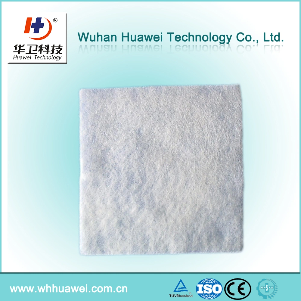 Medical Grade Disposable Sterile Alginate Wound Care Dressing for Promote Wound Healing