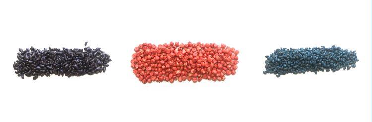 Sparkle Shining Pearl Luster Seeds Pearl Pigment for Seed Dressing