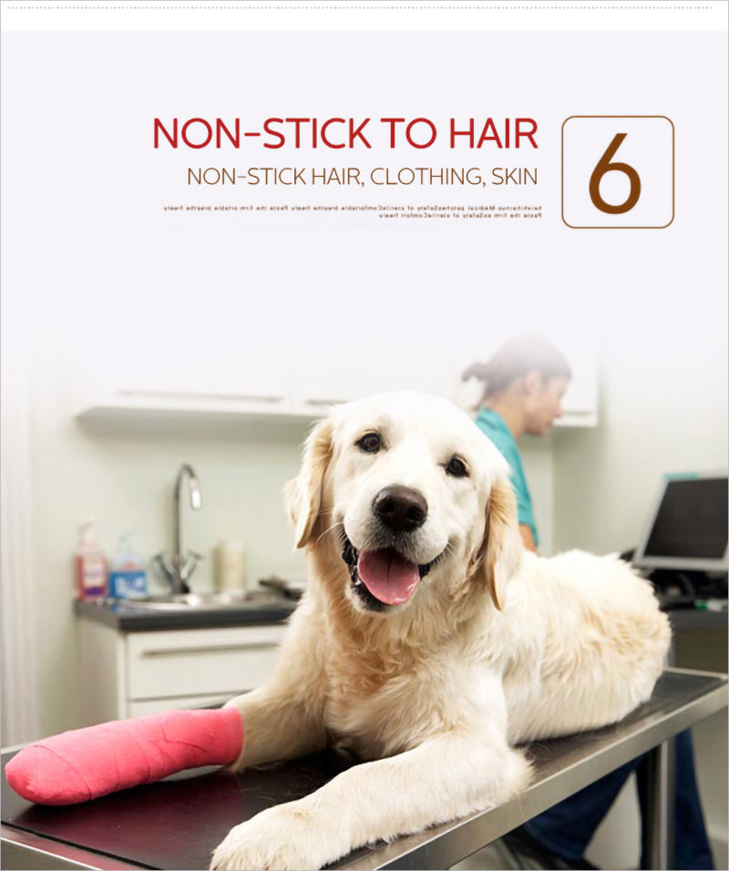 Delicate Colors Non Woven Printing Cohesive Veterinary Bandages