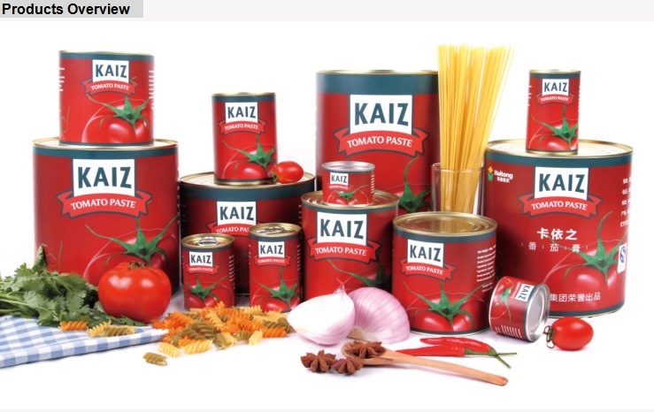 Wholesale Seasonings Condiments Competitive Tomato Paste Price 210gx48tins