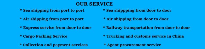 Freight Forwarder LCL Sea Shipping Agent From China to Israel