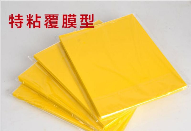 Garden Yellow Sticky Trap Insect Sticky Glue Traps
