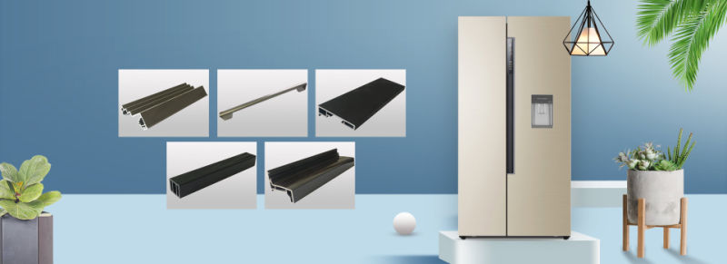 Rigid and Flexible PS Co-Extruded Profiles for Various Kinds of Refrigerators