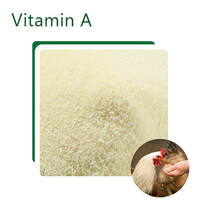 The High-Grade Tryptophan Feed Additive Raw Material for Poultry Growth