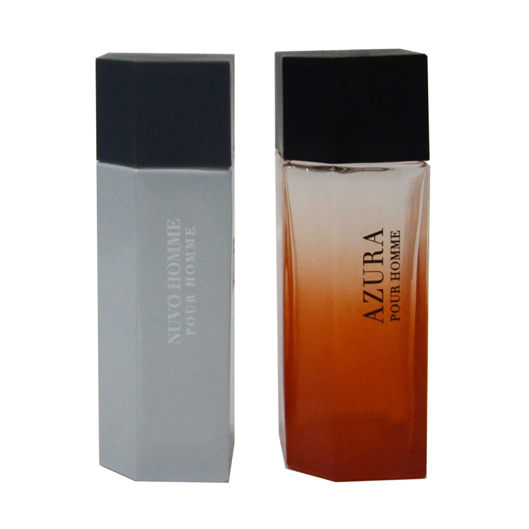 High Quality Color Coating Glass Perfume Bottle by China Manufacturer