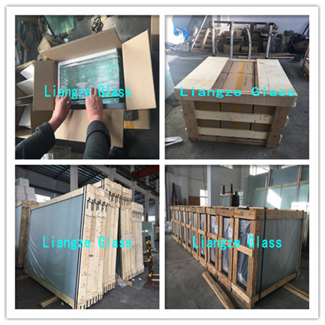 6mm+PVB+5mm Customized Art Glass/Tempered Laminated Glass/Safety/Laminated Glass