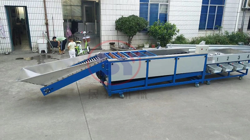 Blueberry Picking Sorting Grading Selecting Sorter Machine with Fruit Picking Paltform