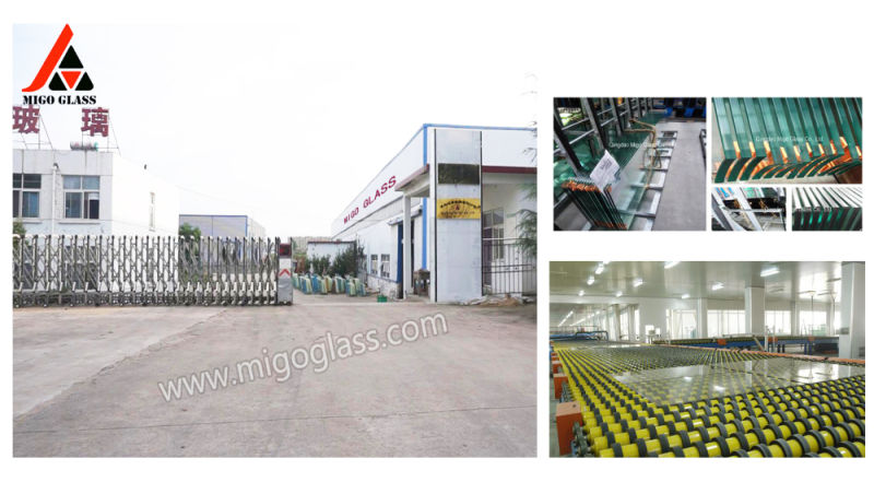 Shandong Produce High Quality 4-12mm Tempered and Pattern Glass