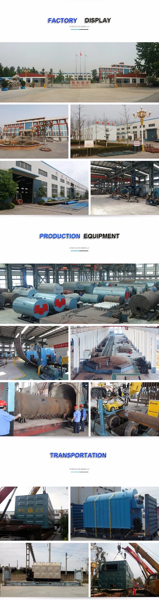 Double Drum Low Pressure Chain-Grate Fuel Coal Fired Boiler