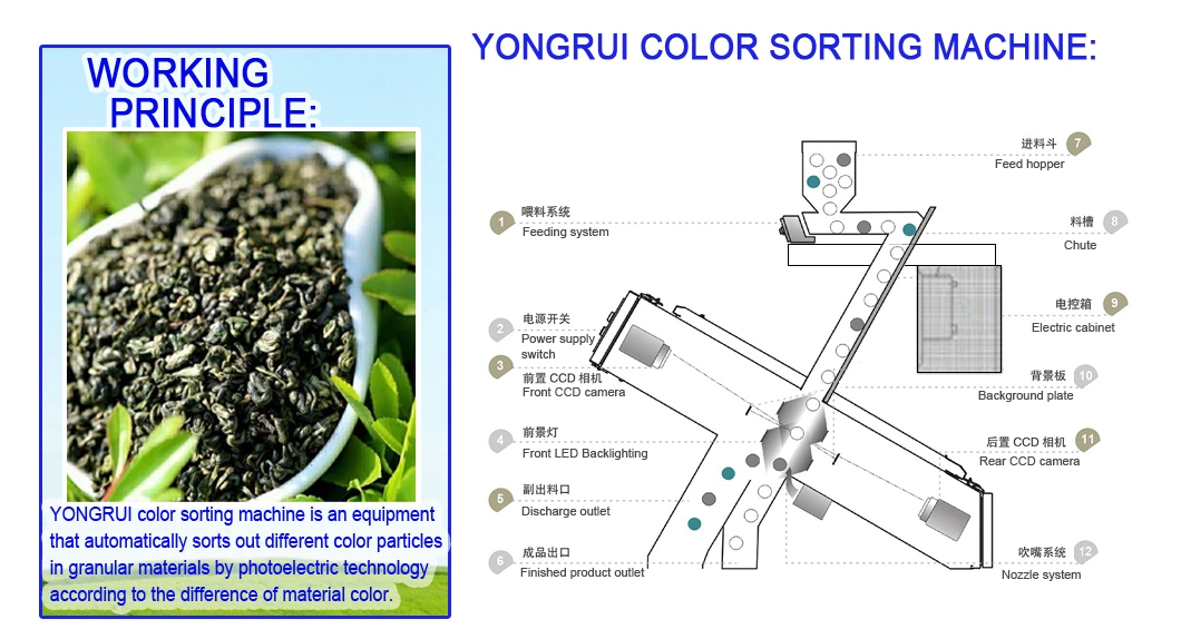 3 Chutes Black Tea Green Tea Color Sorter Shape Selection Plus Color Selection