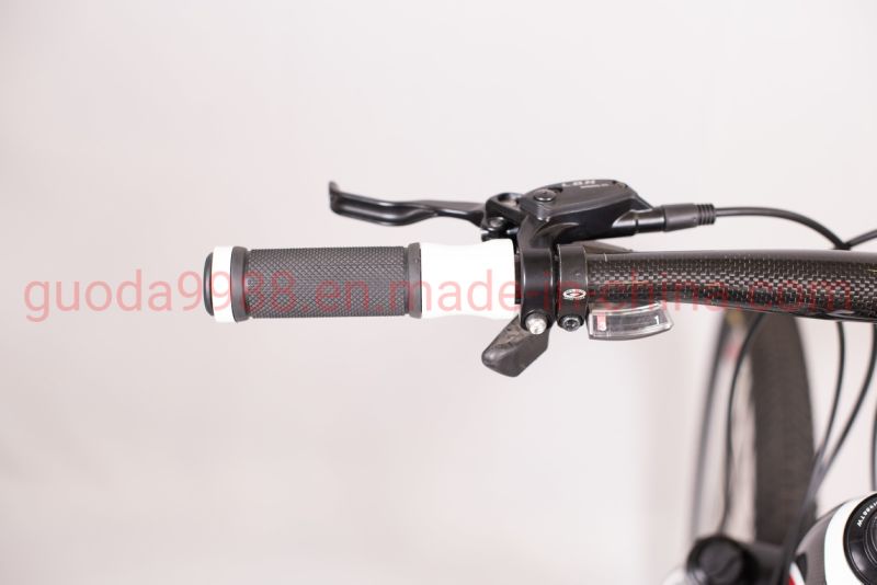 Whole Sale High Quality Mountain Bicycle MTB for Men/Ladies