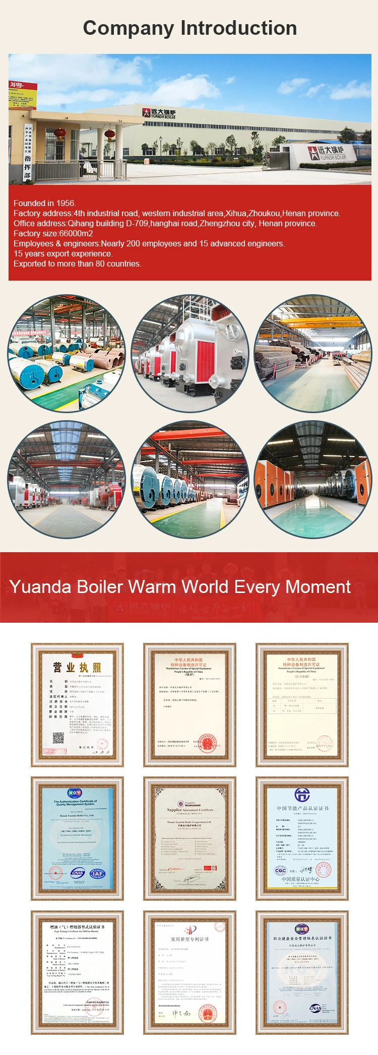 10t Coal Fired Steam Boiler Cost