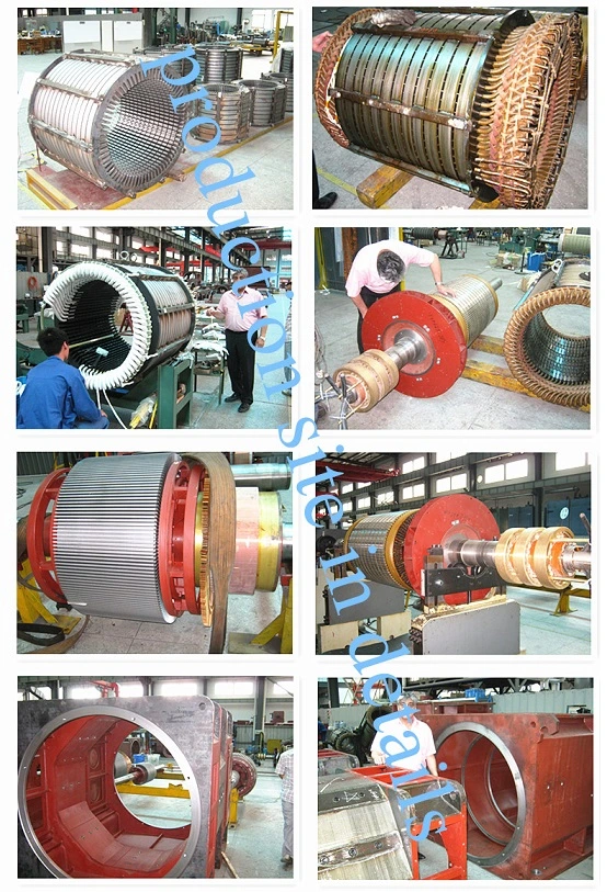 Heavy Duty Industrial Use Electric DC Motor for Steel Rolling Mill, Extruder, Cement Mill, Paper Machine