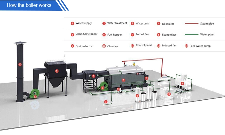 20 Ton Chain Grate Coconut Shell Biomass Fired Steam Boiler