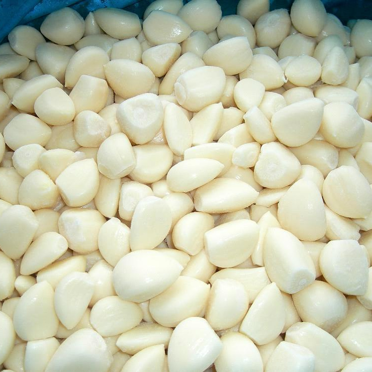 IQF Frozen Garlic Paste Frozen Garlic Puree 20g, 30g, 50g, 500g, 1kg