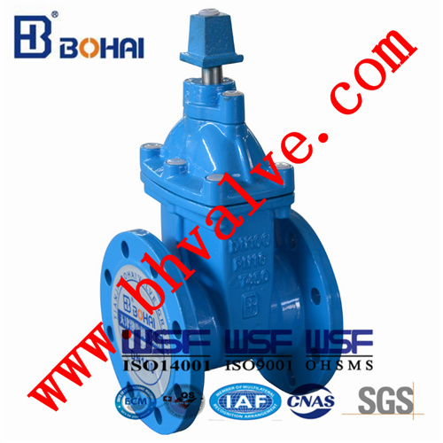 Ductile Iron/Stainless Steel Non Rising Resilient Seat Gate Valve