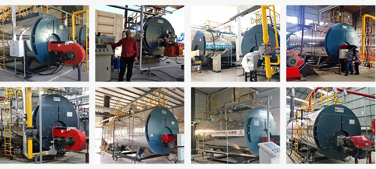 Price and Technical Data of 7ton 7000kg Diesel Oil Steam Boiler