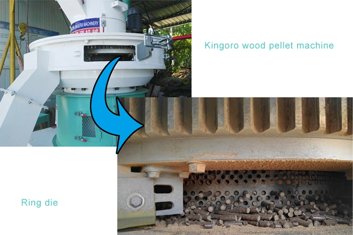 Biomass Fuel Wood Sawdust Pelletizing Machine for Boiler Factory