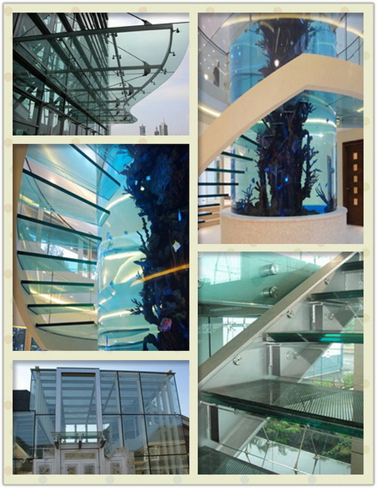 8mm, 10mm, 12mm Clear Toughened/ Laminated/Tempered Glass for Swimming Pool Fence