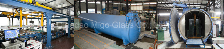 Bent Toughened Laminated Glass for Building Glass Dome