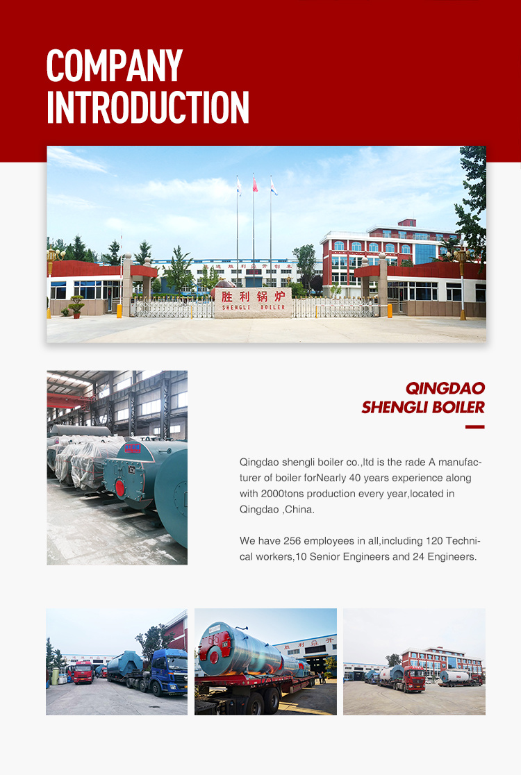 Factory Directly Supply Gas Fired Boiler