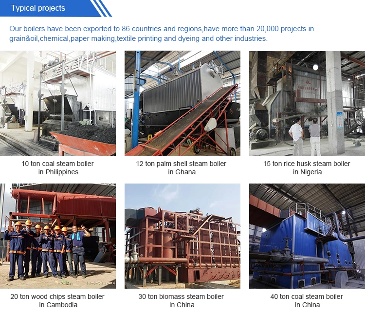 30 Ton Coal Biomass Palm Shell Wood Chips Pellet Steam Boiler Manufacturer China