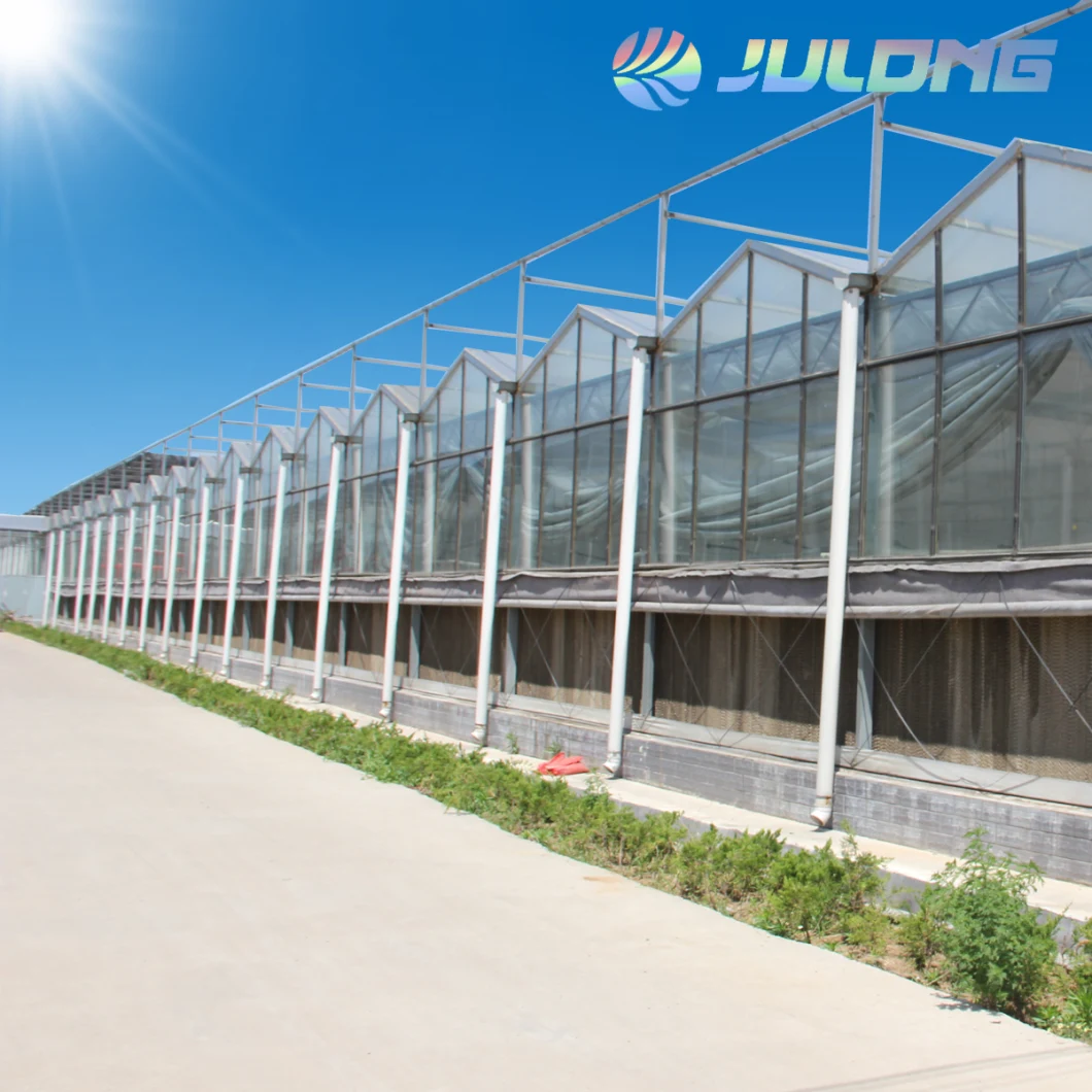 Agriculture Glass Galvanized Steel Frame Greenhouse Kit Panels