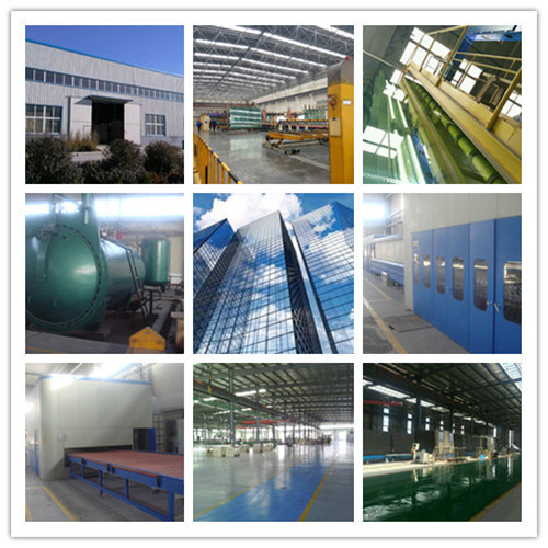 6.38-39.52 PVB Clear Tempered Laminated Glass for Curtain Wall