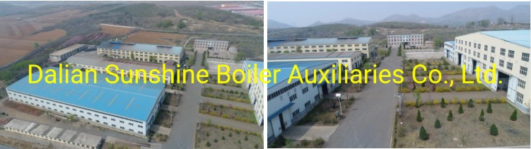 Travelling Belt Chain Grate Biomass Steam Boiler Automatic Chain Biomass Steam Boiler