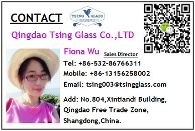8mm Clear Tempered / Laminated Glass / Customized Shape Glass