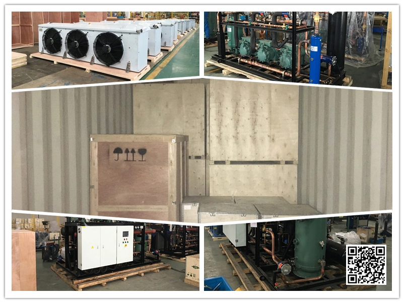 Cost Effective Bitzer Refrigerating Compressor Condensing Unit for Cold Storage