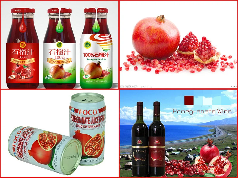 Pomegranate Juice Production Line Aseptic Filling in Glass Bottle/Can/Carton