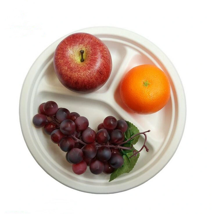 3 Compartment Compostable Eco Friendly Sugarcane Bagasse Catering Serving Platter Fruit Charger Plates Dish