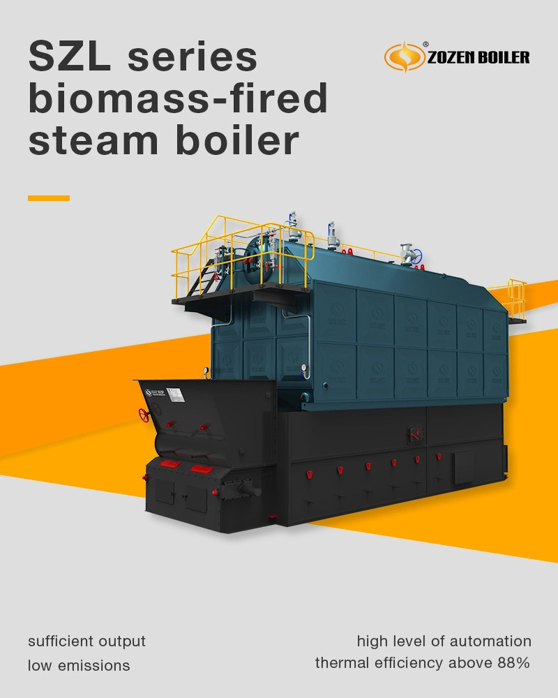 Assembled 10 Ton/H Coal Fired Steam Boiler