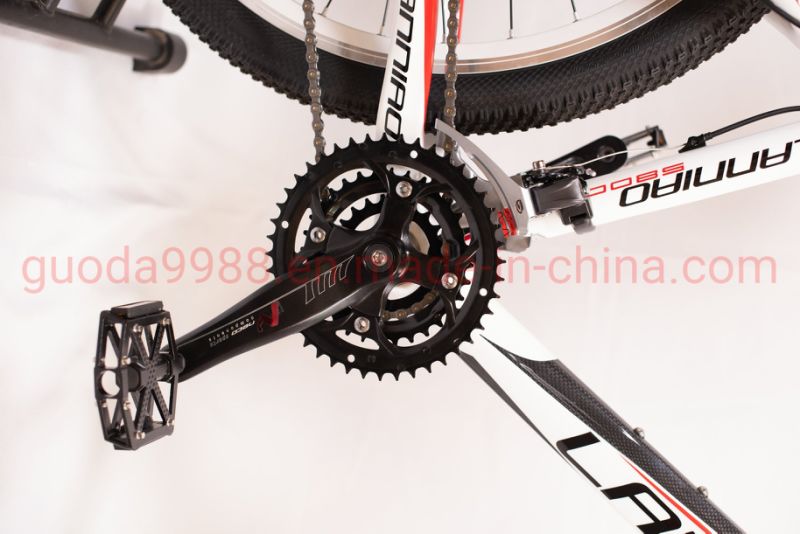 Whole Sale High Quality Mountain Bicycle MTB for Men/Ladies