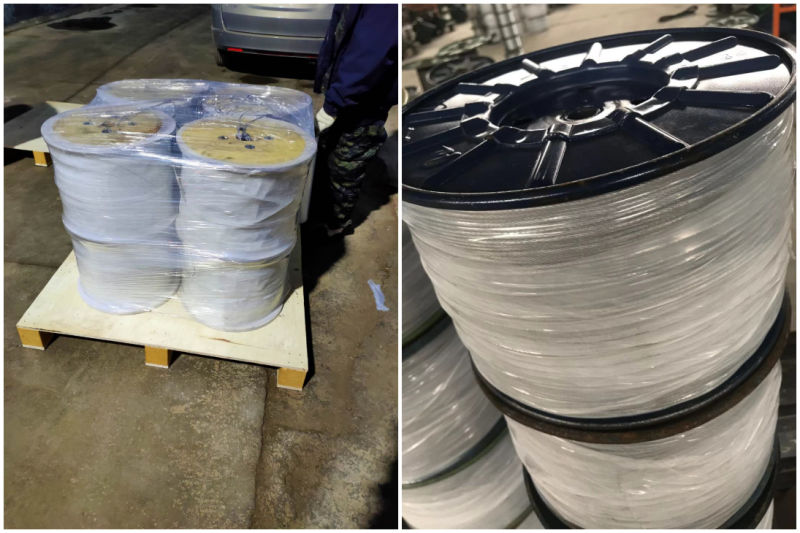 Iron Wire Electro Galvanized Steel Wire Rope with PP Coating