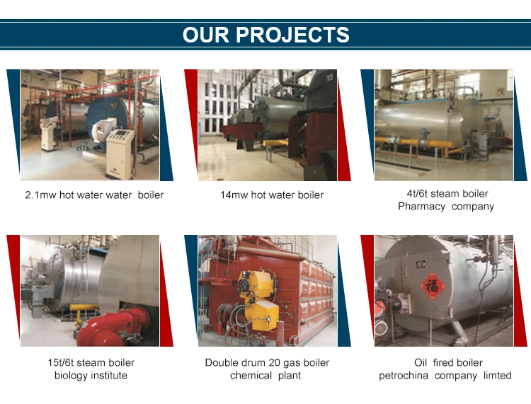 Water Tube Steam and Hot Water Boiler to Egypt