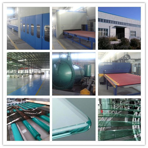 Best Quality Bent Tempered Glass/Laminated Glass for Building