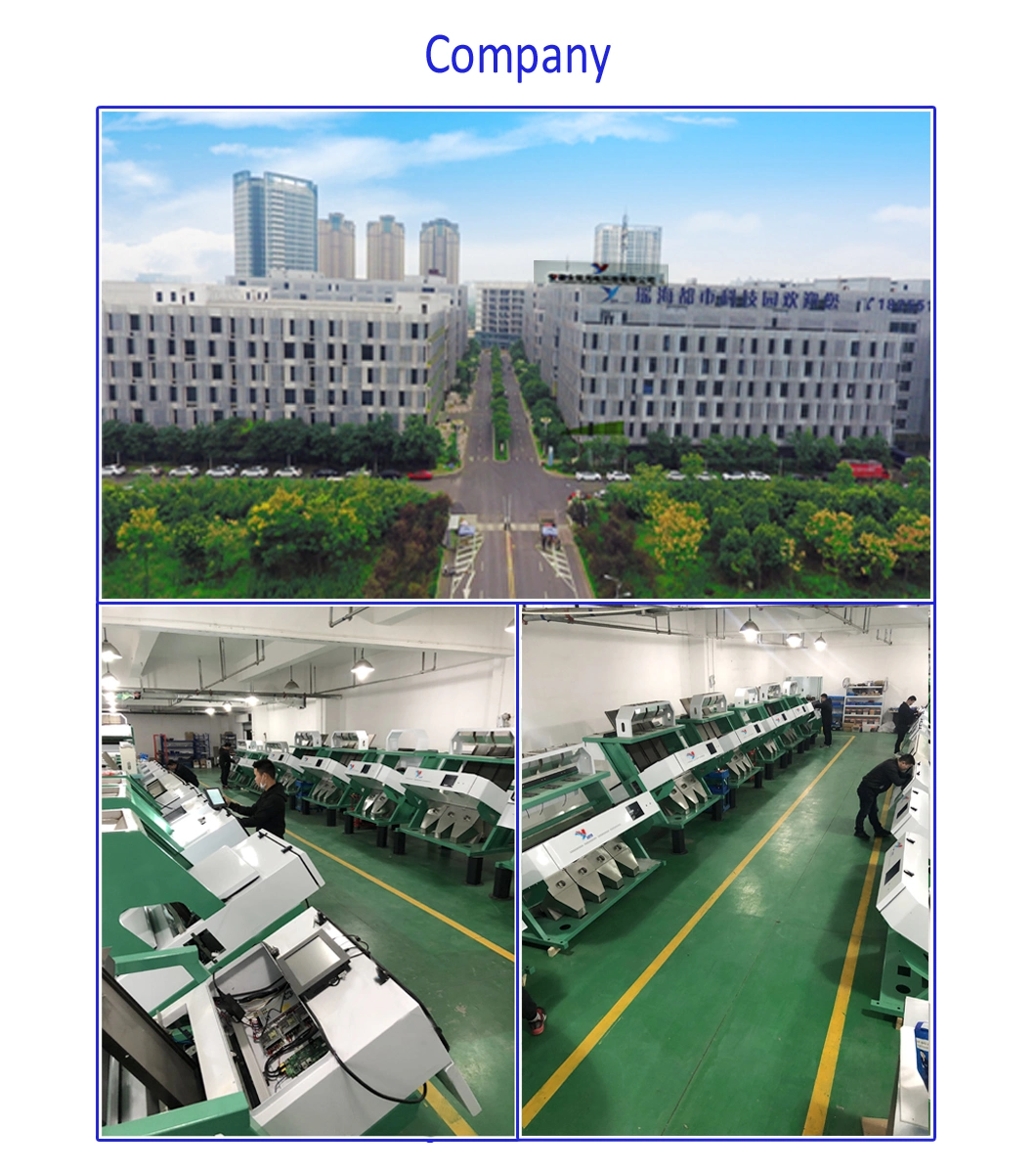 All Kinds of Tea Color Sorting Machine for Shape Selection and Color Selection